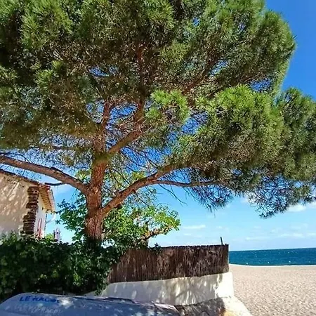 Apartment 3 Pers Avec Terrasse Proche Et Commerces - Fr-1-776-123 Argelès-sur-Mer